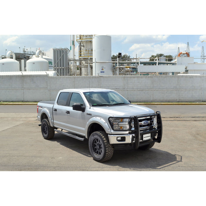 Go Rhino 3000 Series StepGuard Grille Guard with Brush Guards Model 3373MB