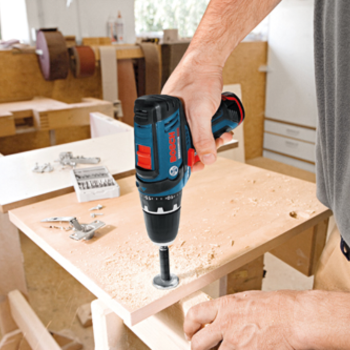 Bosch 12V Max 3/8 In. Drill/Driver Kit Model PS31-2A