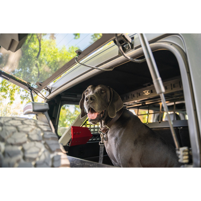 DV8 Offroad 2021-2024 Ford Bronco Dog Barrier Model MPBR-10