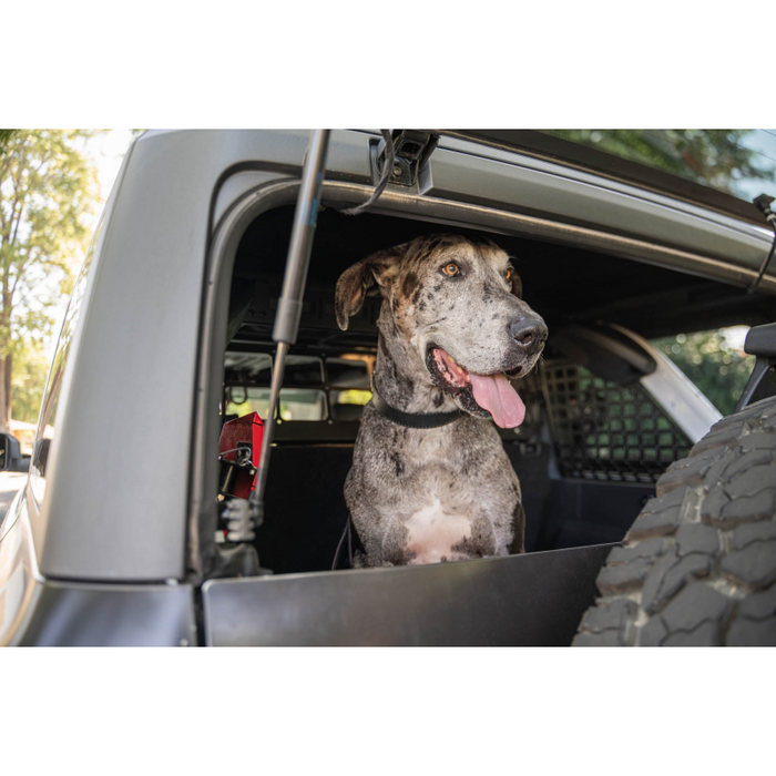 DV8 Offroad 2021-2024 Ford Bronco Dog Barrier Model MPBR-10