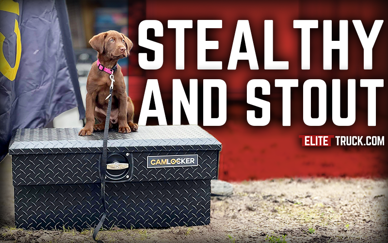 Low-Profile Bed Storage