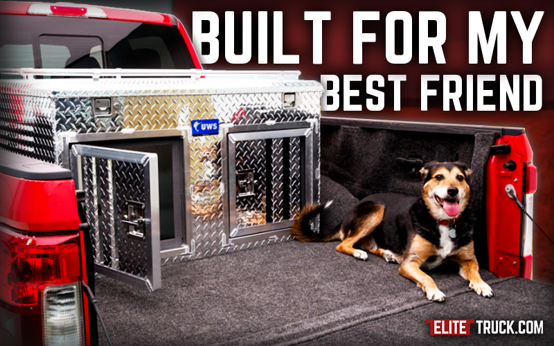 Built for Strength, Safety, and Longevity