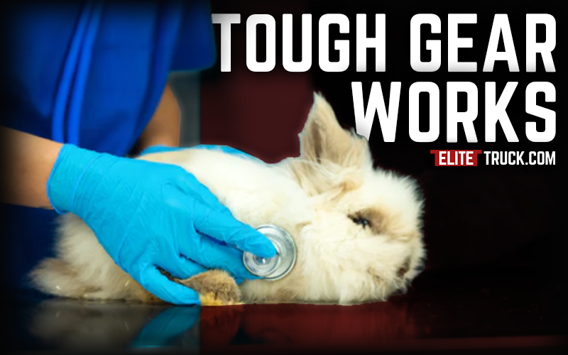 Purpose-Built PPE for Real-World Work Environments