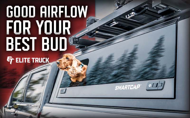 Built for Every Lifestyle, Every Need