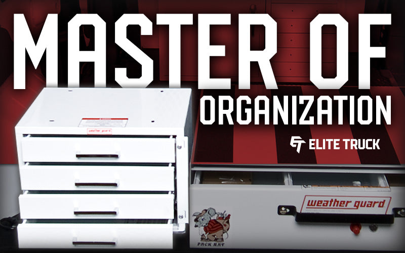 Secure & Organized Storage