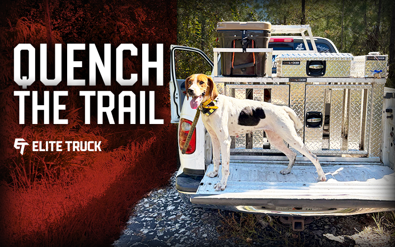 Field Hydration for Hunting Dogs