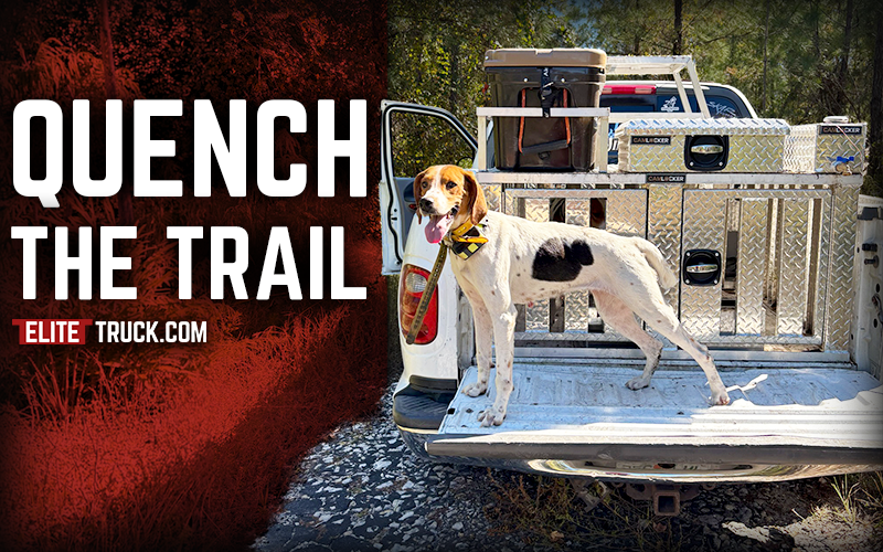 Field Hydration for Hunting Dogs