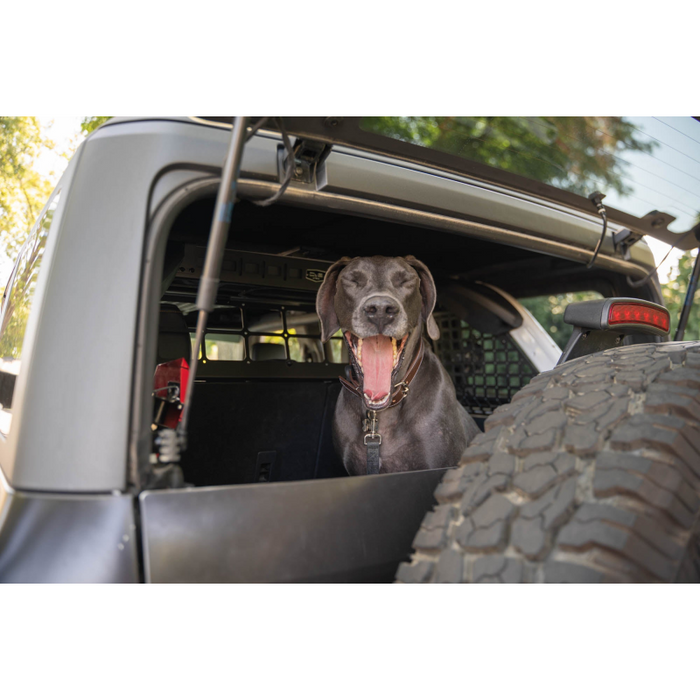 DV8 Offroad 2021-2024 Ford Bronco Dog Barrier Model MPBR-10
