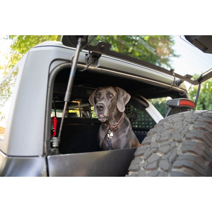 DV8 Offroad 2021-2024 Ford Bronco Dog Barrier Model MPBR-10